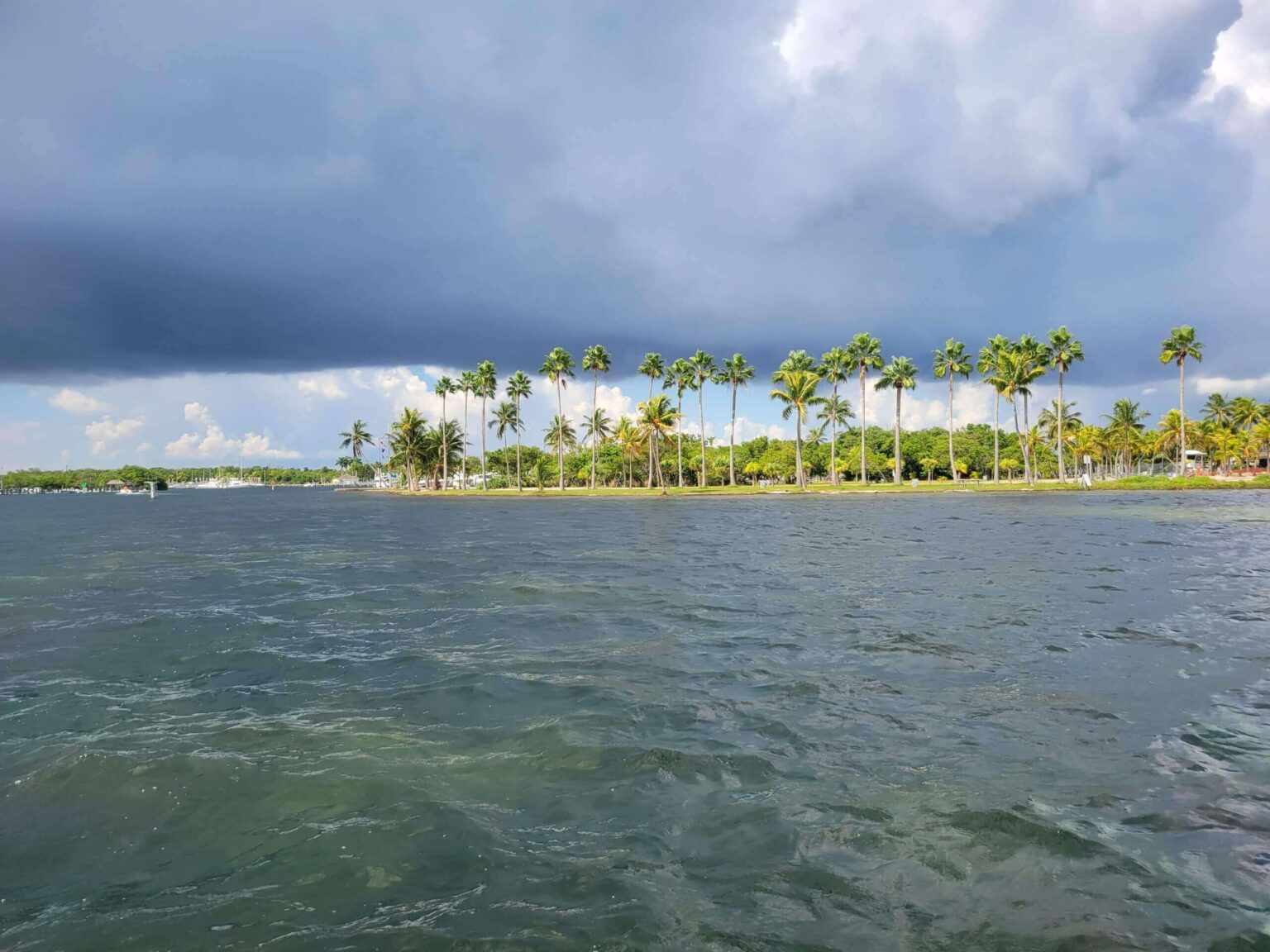 Coast of Coral Gables from the bay